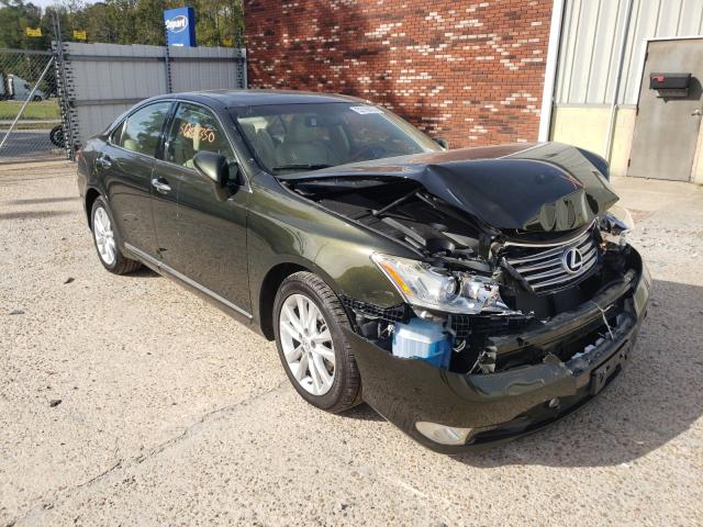 LEXUS ES 350 2010 jthbk1eg2a2368408