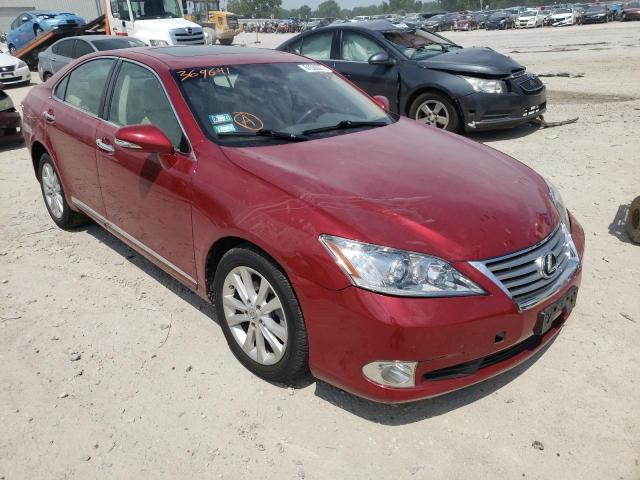 LEXUS ES 350 2010 jthbk1eg2a2369641