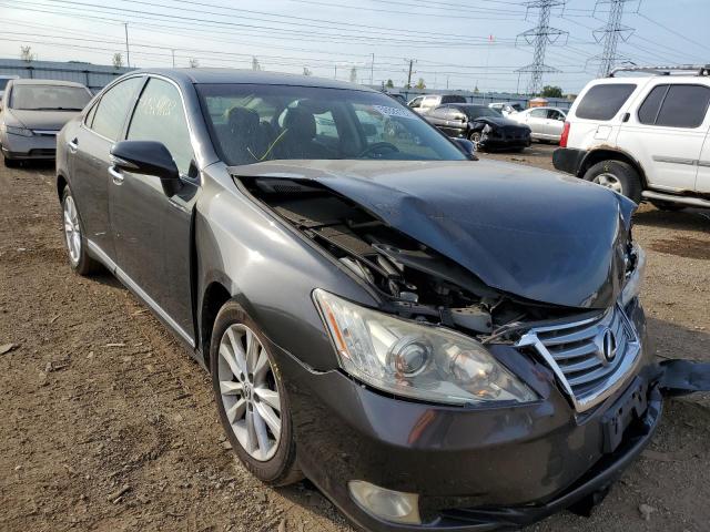 LEXUS ES 350 2010 jthbk1eg2a2370529