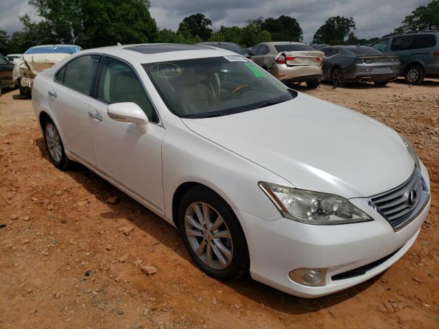 LEXUS ES 350 2010 jthbk1eg2a2371504