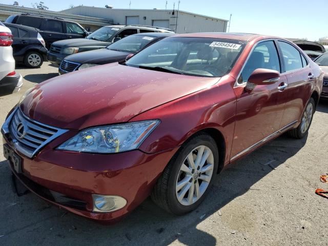 LEXUS ES350 2010 jthbk1eg2a2371616