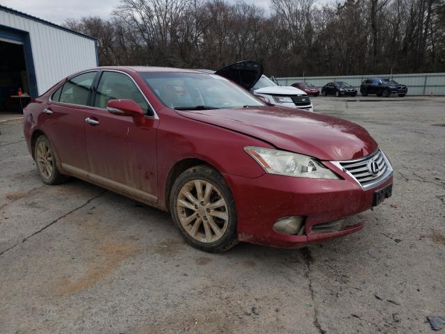 LEXUS ES 350 2010 jthbk1eg2a2376704