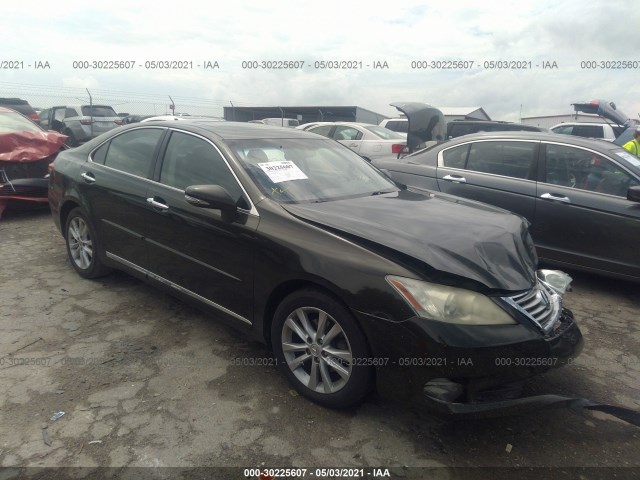 LEXUS ES 350 2010 jthbk1eg2a2377545