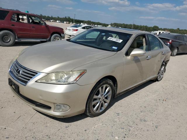 LEXUS ES 350 2010 jthbk1eg2a2377559