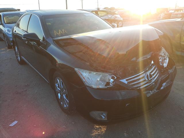 LEXUS ES 350 2010 jthbk1eg2a2377772