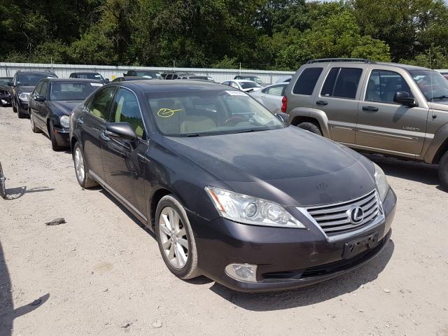 LEXUS ES 350 2010 jthbk1eg2a2381465