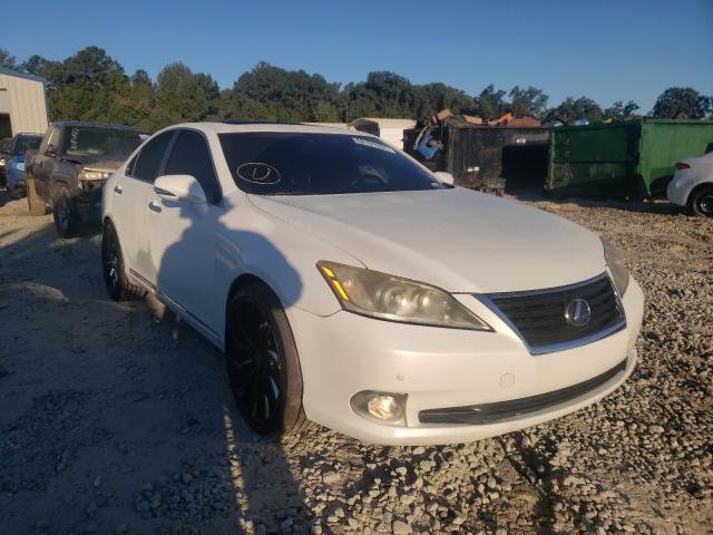 LEXUS ES 350 2010 jthbk1eg2a2381627