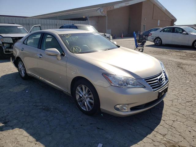 LEXUS ES 350 2010 jthbk1eg2a2384432