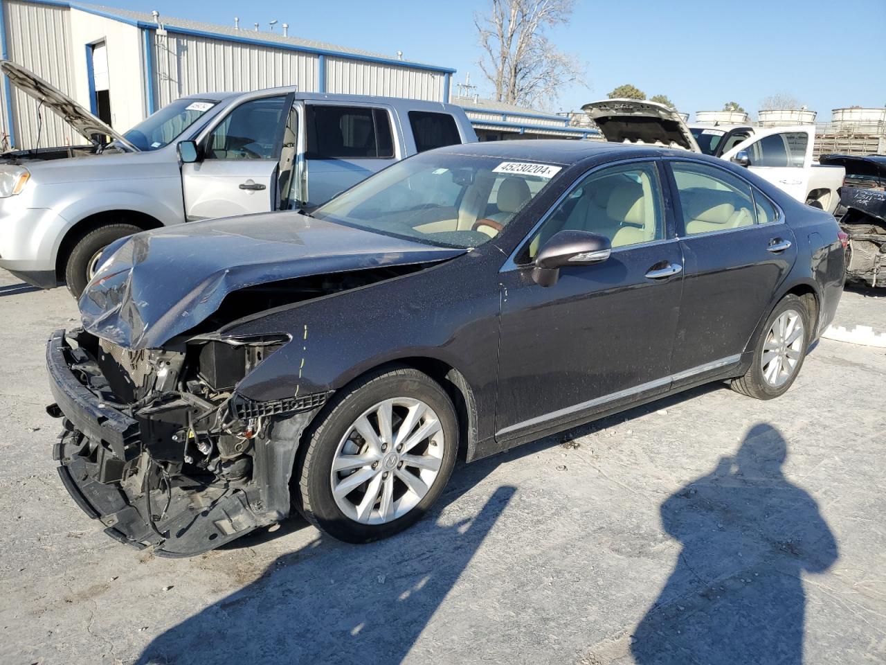 LEXUS ES 2010 jthbk1eg2a2386682