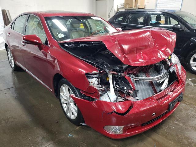 LEXUS ES 350 2010 jthbk1eg2a2386696