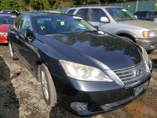 LEXUS ES 350 2010 jthbk1eg2a2390635