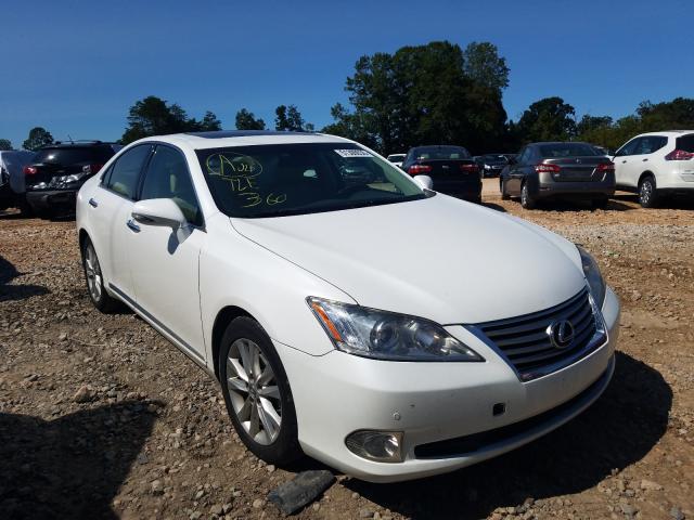 LEXUS ES 350 2010 jthbk1eg2a2391431