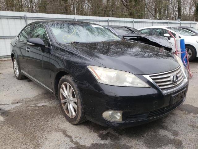 LEXUS ES 350 2010 jthbk1eg2a2391770