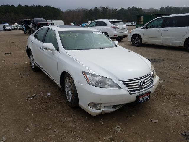 LEXUS ES 350 2010 jthbk1eg2a2392143