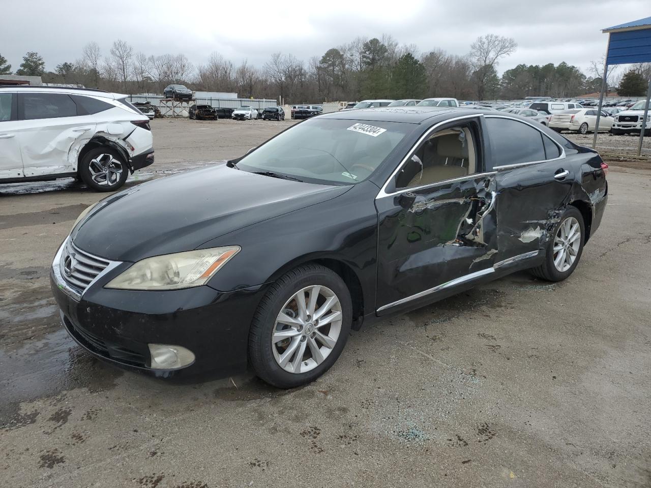 LEXUS ES 2010 jthbk1eg2a2392952