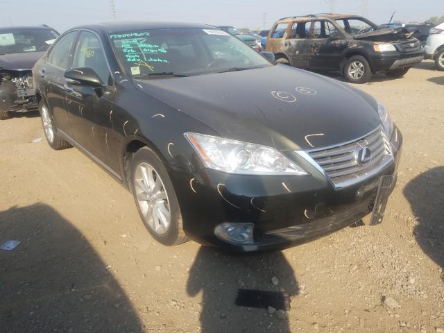 LEXUS ES 350 2010 jthbk1eg2a2393244