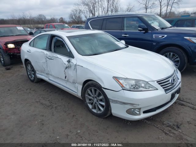 LEXUS ES 350 2010 jthbk1eg2a2393261