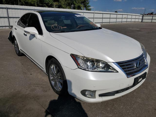 LEXUS ES 350 2010 jthbk1eg2a2393681