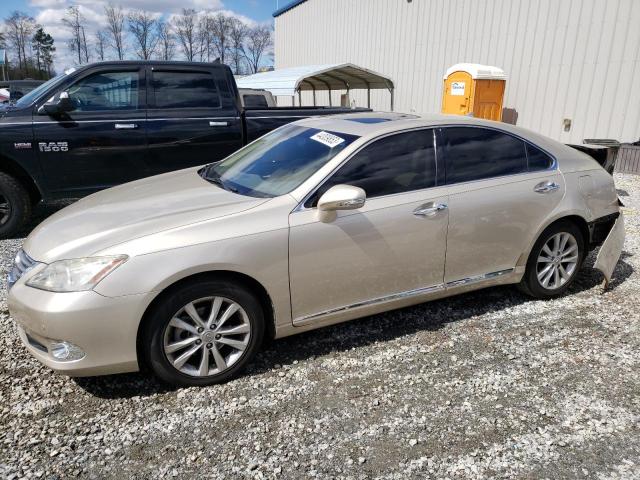 LEXUS ES 350 2010 jthbk1eg2a2398587