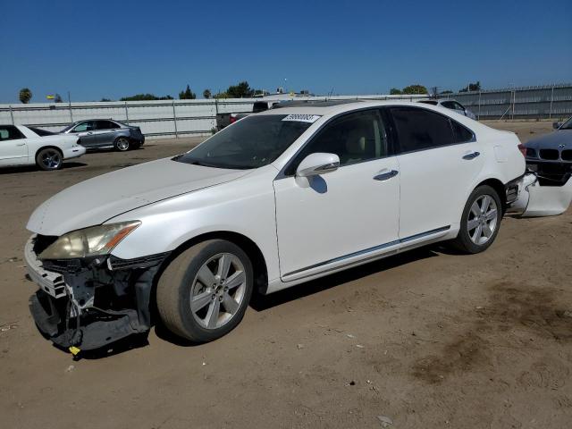 LEXUS ES 350 2010 jthbk1eg2a2401889