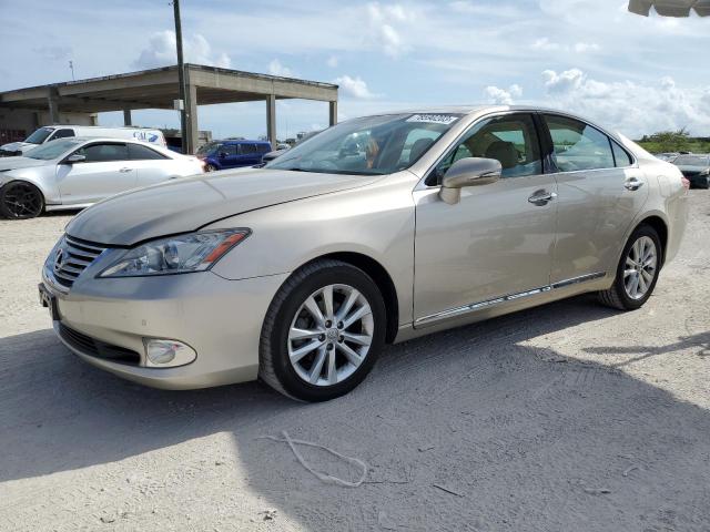 LEXUS ES350 2010 jthbk1eg2a2404386