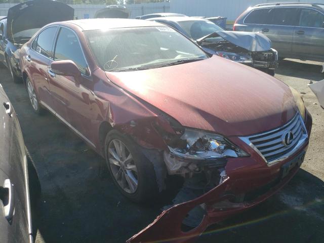 LEXUS ES 350 2010 jthbk1eg2a2404758