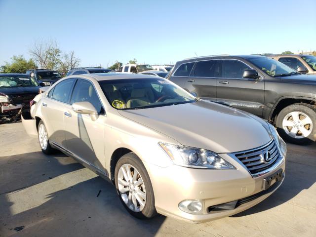 LEXUS ES 350 2010 jthbk1eg2a2405814