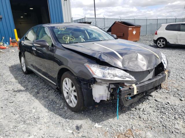 LEXUS ES 350 2010 jthbk1eg2a2406901