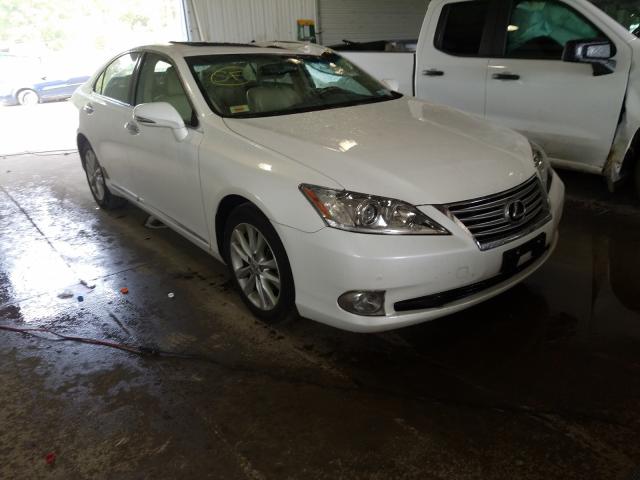 LEXUS ES 350 2010 jthbk1eg2a2407109