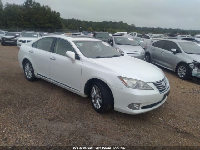 LEXUS ES 350 2010 jthbk1eg2a2407739