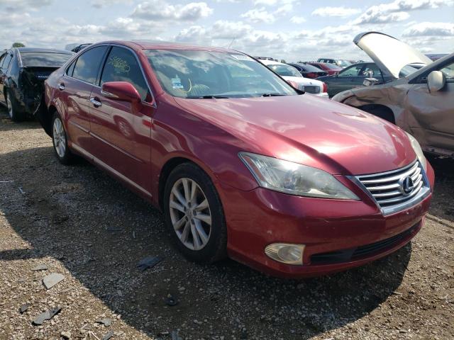 LEXUS ES 350 2010 jthbk1eg2a2410737