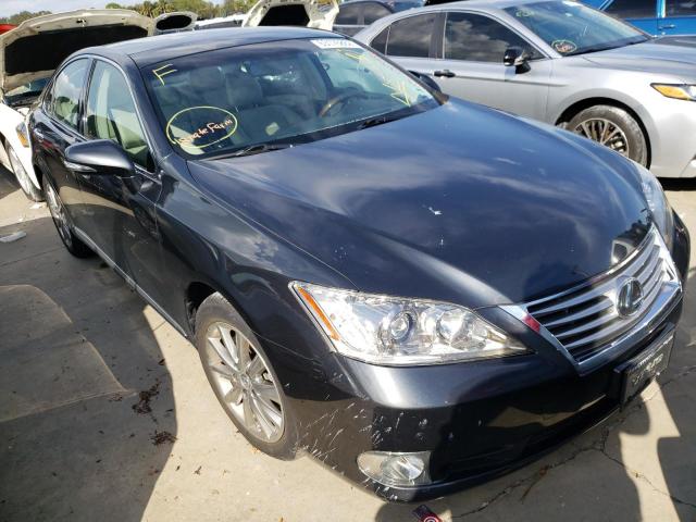 LEXUS ES 350 2010 jthbk1eg2a2411595