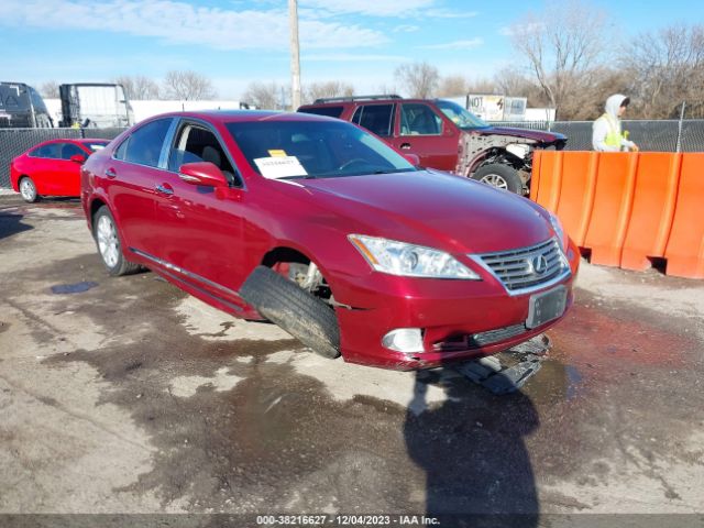 LEXUS ES 350 2010 jthbk1eg2a2412598