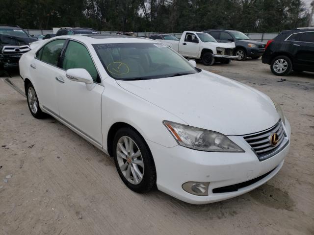 LEXUS ES 350 2010 jthbk1eg2a2413072