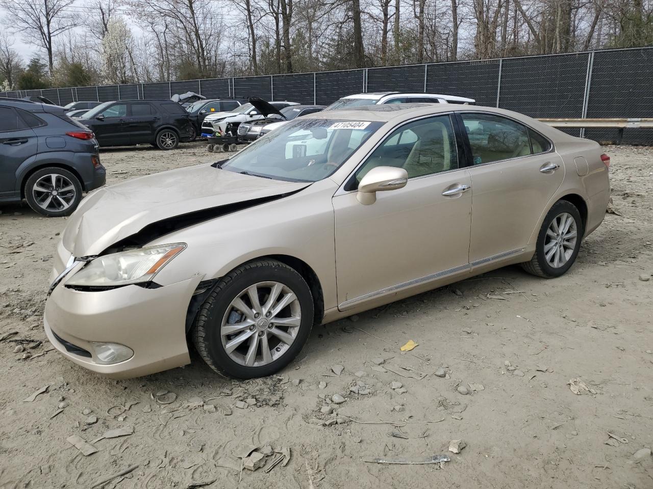 LEXUS ES 2011 jthbk1eg2b2441021