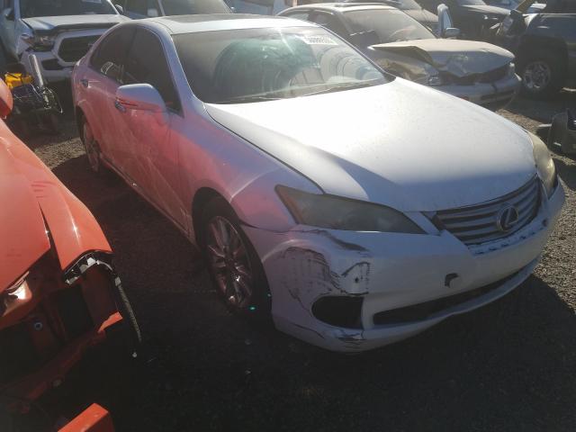 LEXUS ES 350 2011 jthbk1eg2b2447482