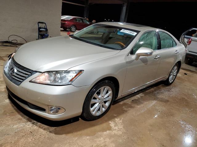 LEXUS ES 350 2011 jthbk1eg2b2459082