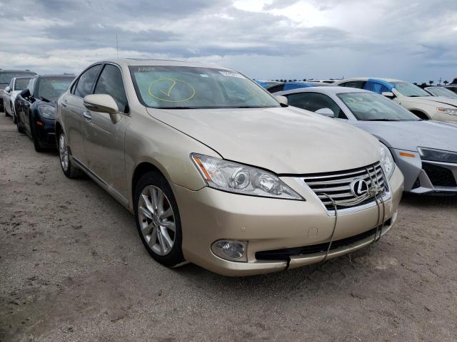 LEXUS ES 350 2011 jthbk1eg2b2463911