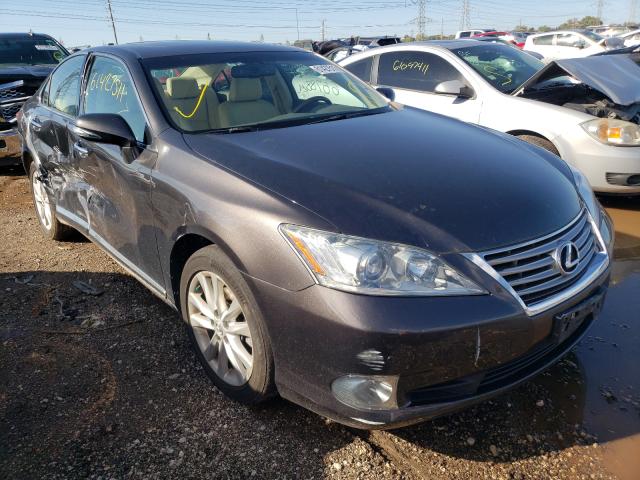 LEXUS ES 350 2011 jthbk1eg2b2464122