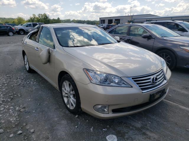 LEXUS ES 350 2011 jthbk1eg2b2466825