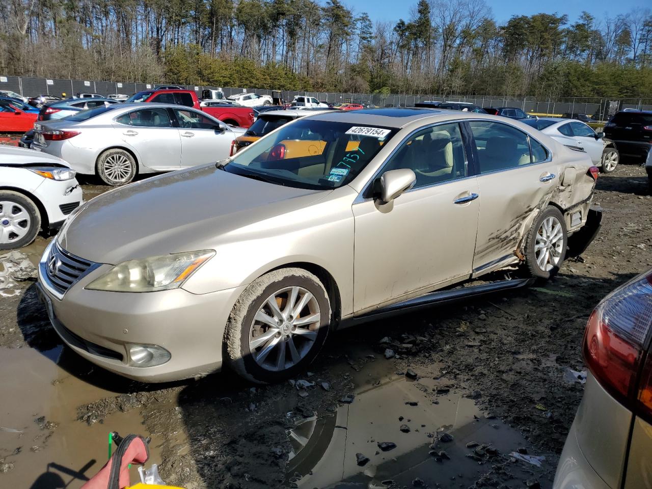 LEXUS ES 2011 jthbk1eg2b2467957