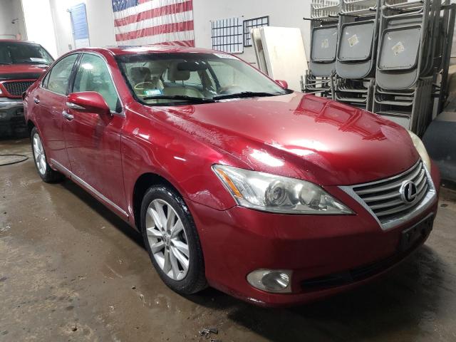 LEXUS ES 350 2010 jthbk1eg3a2344263