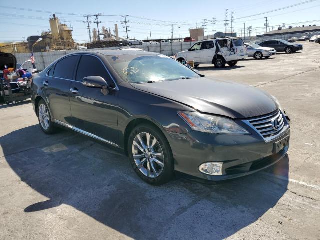 LEXUS ES 350 2010 jthbk1eg3a2345073