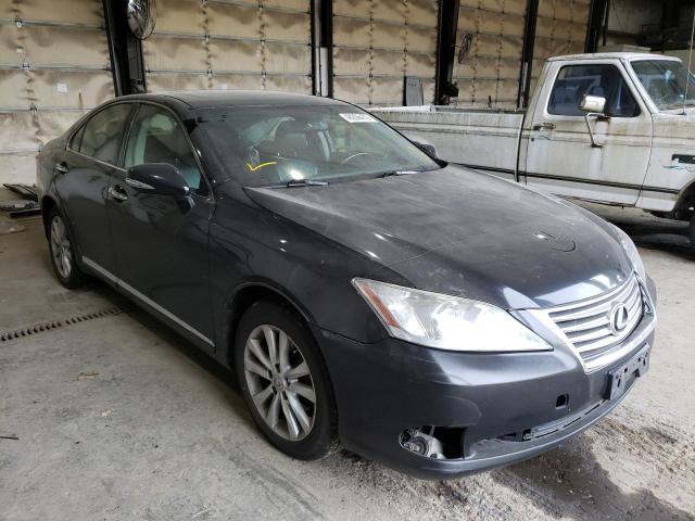 LEXUS ES 350 2010 jthbk1eg3a2346465