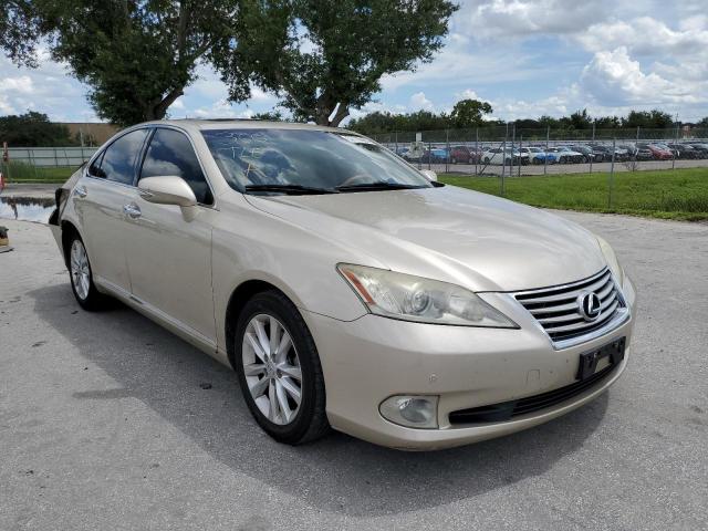 LEXUS ES 350 2010 jthbk1eg3a2346613