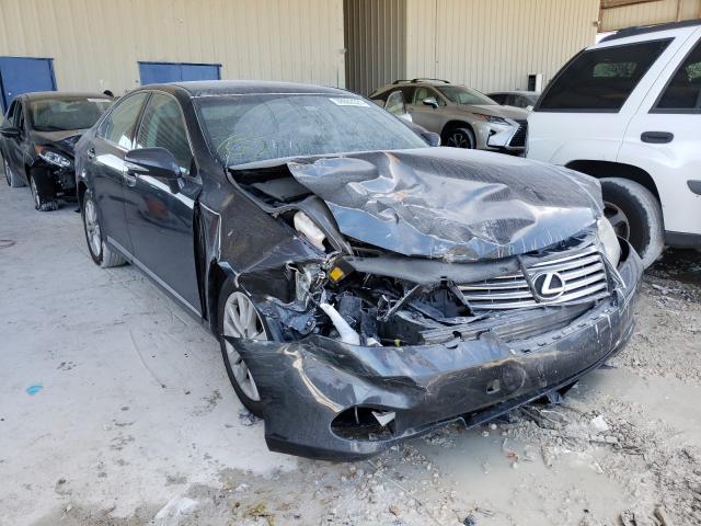 LEXUS ES 350 2010 jthbk1eg3a2347549