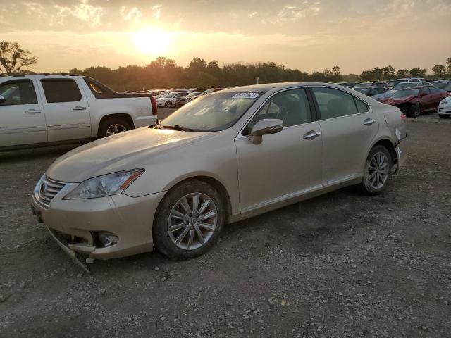 LEXUS ES 350 2010 jthbk1eg3a2350189