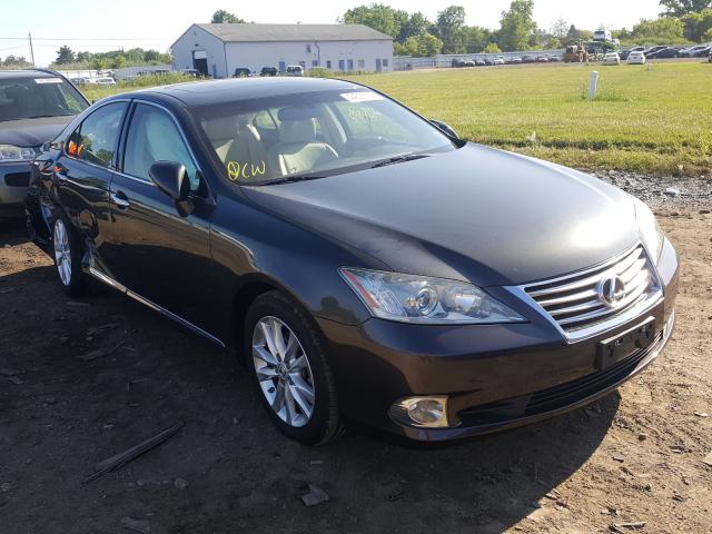 LEXUS ES 350 2010 jthbk1eg3a2351956