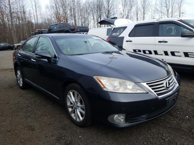 LEXUS ES 350 2010 jthbk1eg3a2353383