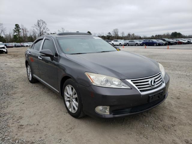 LEXUS ES 350 2010 jthbk1eg3a2365288